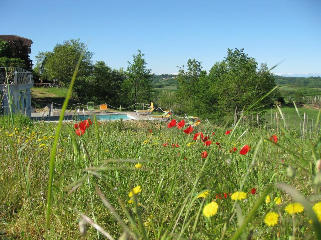 Landhuis Cascina Ponchietta Montà